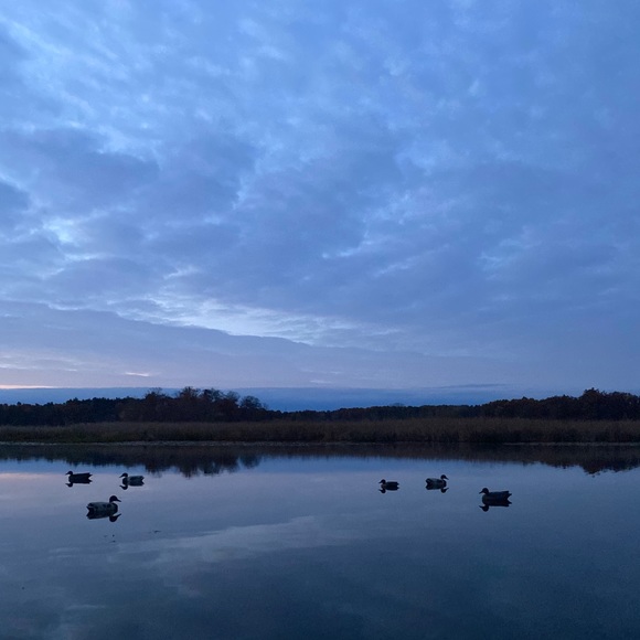 Meet your Posher, Marcus - Picture 1 of 1